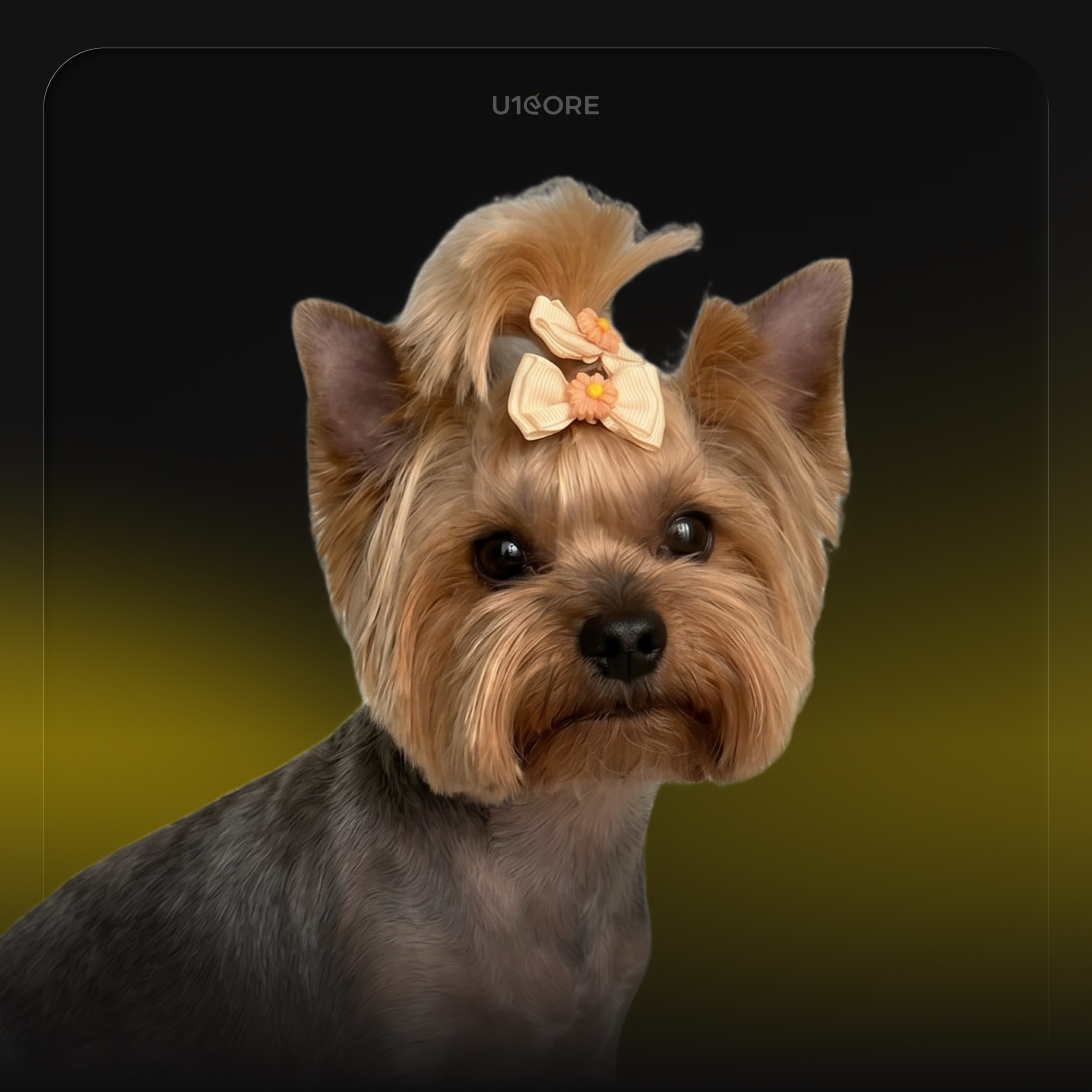 Polina Makeienko's pet